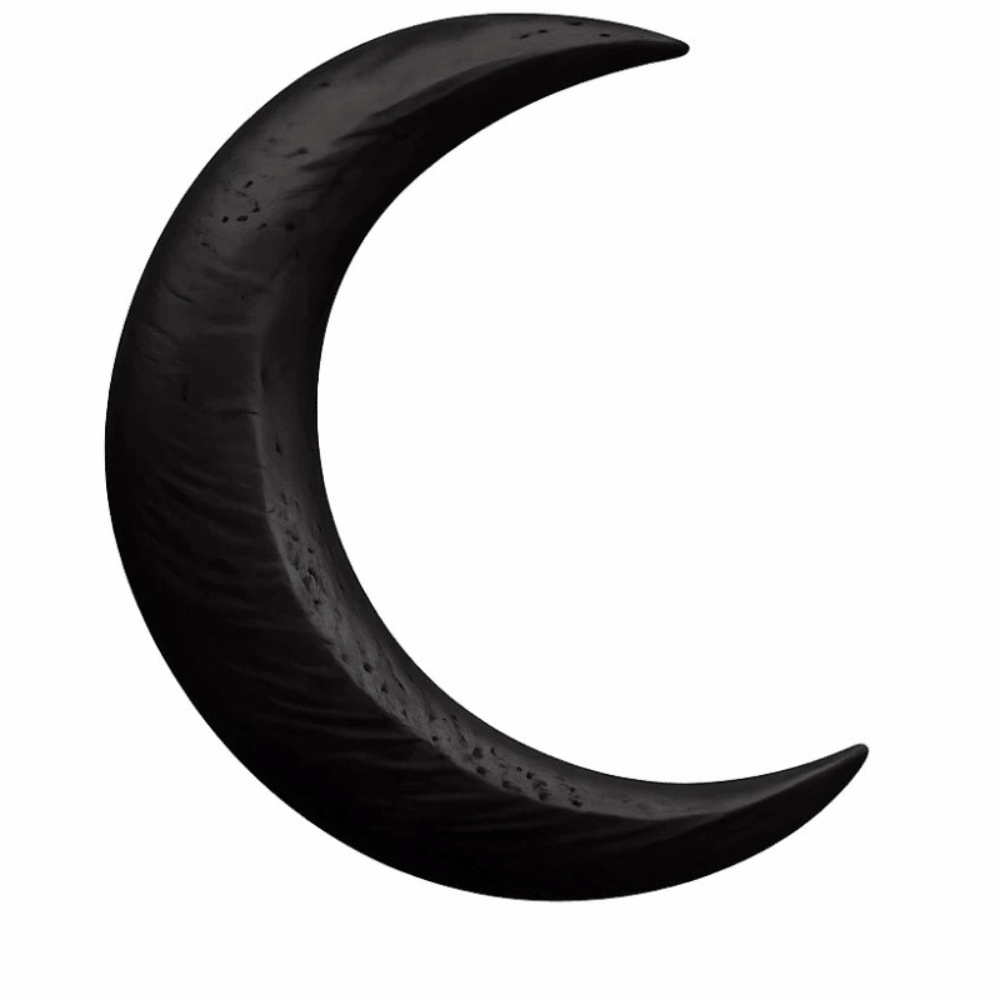 Elegant Crescent Hair Fork Han - Hanbok Hair Pin review and price